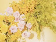 -广州柏悦酒店·悦景轩·粤菜餐厅