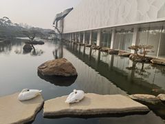 -罗红摄影艺术馆