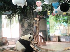 -海南热带野生动植物园