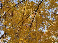 -北京丽景湾国际酒店