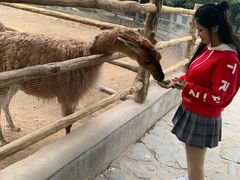 -西安秦岭野生动物园