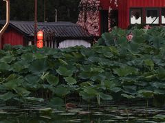 -北陵公园