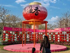 -盈香心动乐园