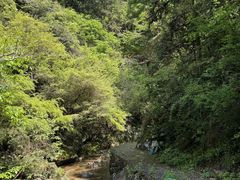 -龙湾潭国家森林公园