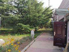 -太阳宫公园