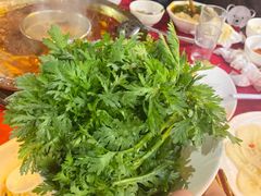 茼蒿菜-山城年华老火锅(玉林店)