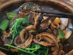 黄鳝煲-台山第一家兴华黄鳝饭·黄鳝婆(开平店)