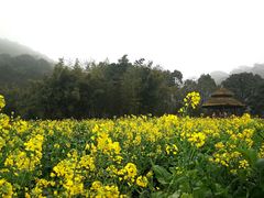 -广州市石门国家森林公园
