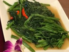 空心菜-Daddy Nimman Chiang Mai