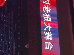 -泰安刘老根大舞台