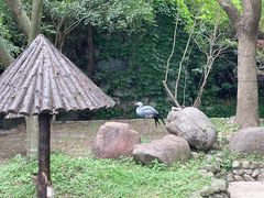 -上海野生动物园