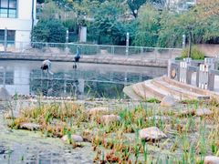 -苏州河梦清园环保主题公园