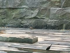 -外滩悦榕庄·海怡西餐厅