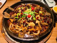老板恋上鱼-老板恋上鱼(印象城店)