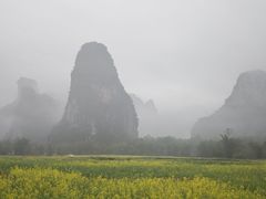-明仕田园