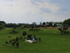 -空港花田景区