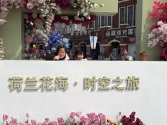 -荷兰花海