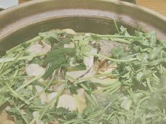 -九道菜有鸡鱼头(石鼓路店)