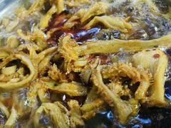 -老红桥炸灌肠牛肚锅烧烤(定福庄店)