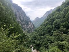 -青峰峡国家森林公园