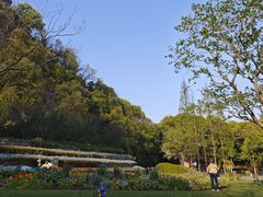 -上海辰山植物园