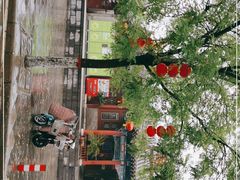 -大槐树寻根祭祖园