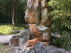 -皇家御河游(紫御湾码头)