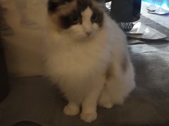 -零纪元VR体验馆·桌游(黄浦店)