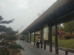 -枫香湖儿童公园