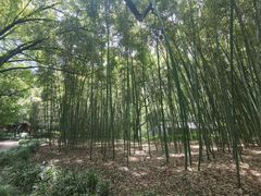 -兰亭风景区