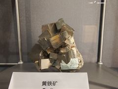 -上海科技馆(地铁站)