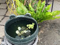 花莲七星潭-七星潭蓝天广场