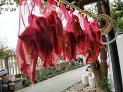 -李东农庄(中南百草园地标店)