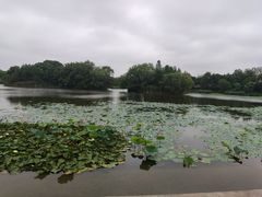-新江湾城公园