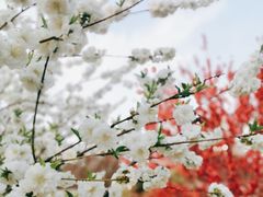 -丰台花园