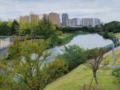-府河摄影公园