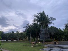 -清水湾旅游度假区