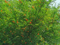 -咕叽咕叽自助烤肉小火锅(西城广场购物中心店)