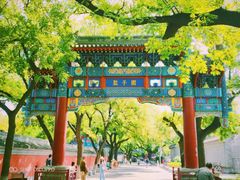 -北京国子监胡同