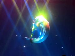 -芜湖新华联大白鲸海洋公园