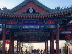 -莲花池公园