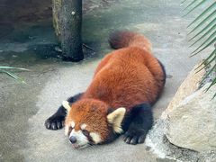 -西安秦岭野生动物园