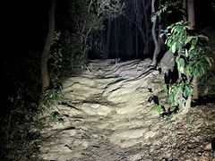 -火炉山森林公园