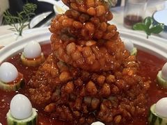 -丁老爷子苏香圆