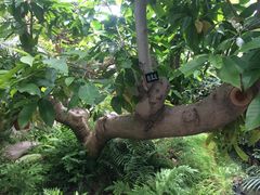 -南通洲际绿博园