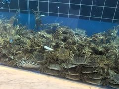 -川骄海鲜自助(亚运村店)