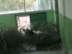 -石家庄市动物园