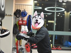 -M.S拳击泰拳馆(大学路店)