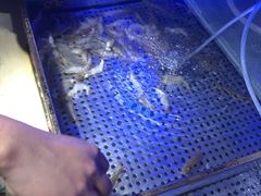 -蒙肥羊·酸汤潮牛·鲜牛肉火锅烤肉自助(岗顶店)