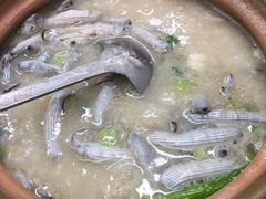-盛燕泥丁粥
